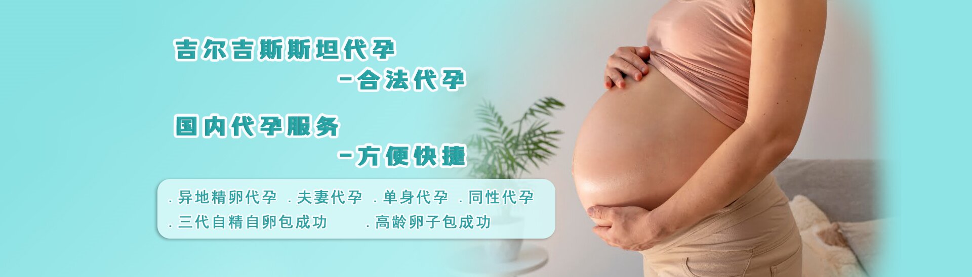 新加坡代孕