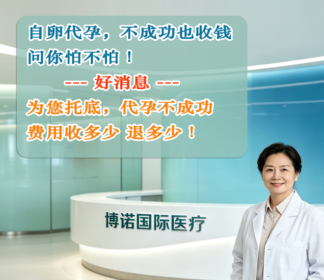 新加坡代孕